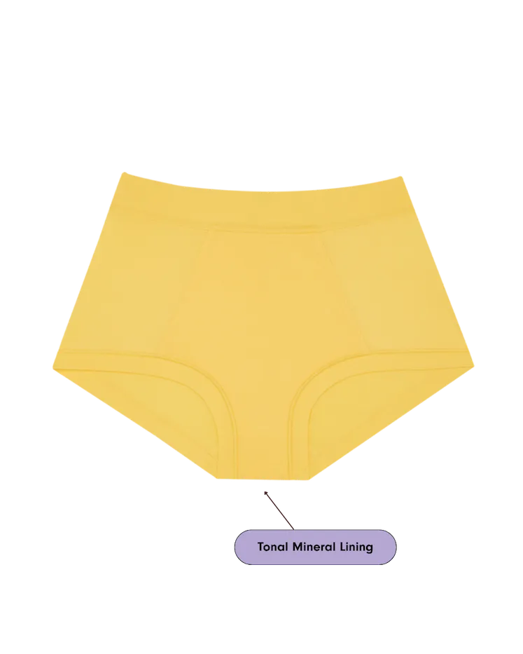 Brief