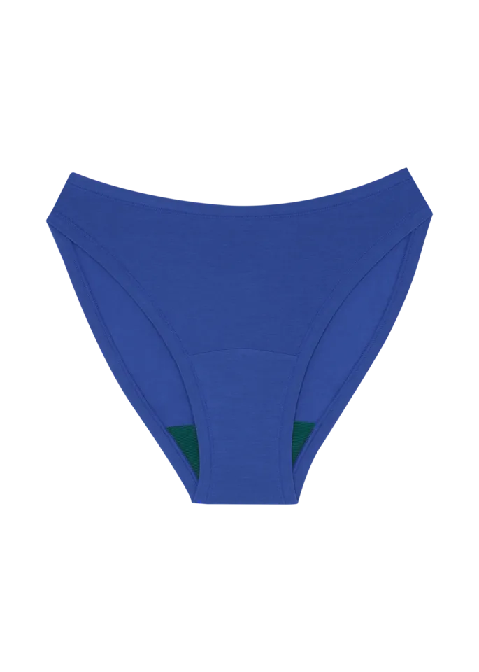 High Rise Bikini