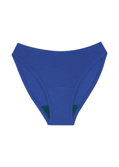 High Rise Bikini