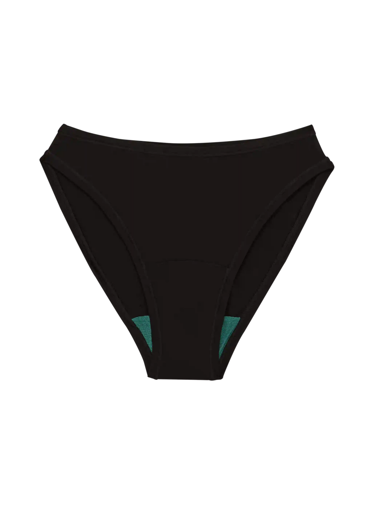 High Rise Bikini