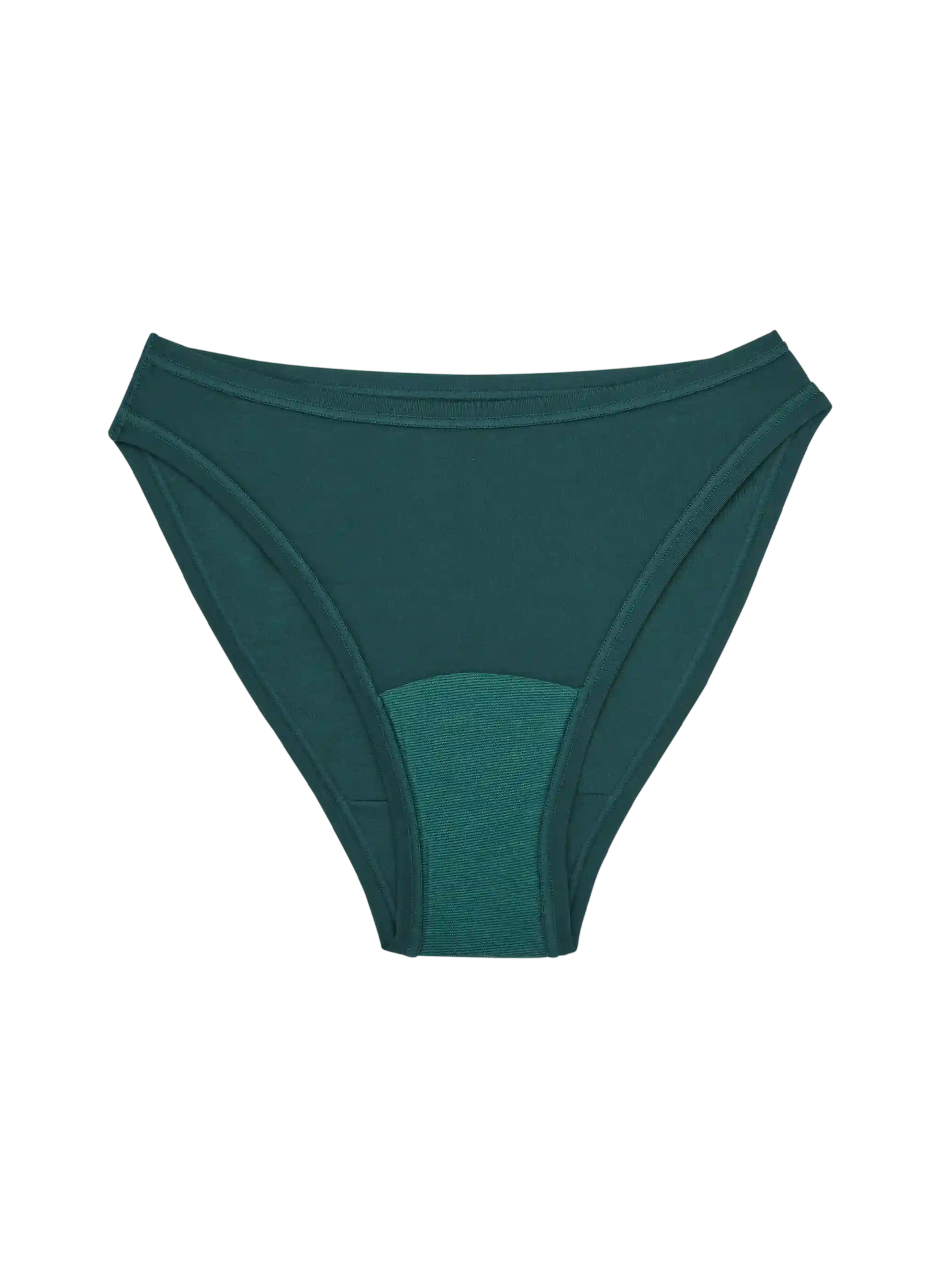 High Rise Bikini