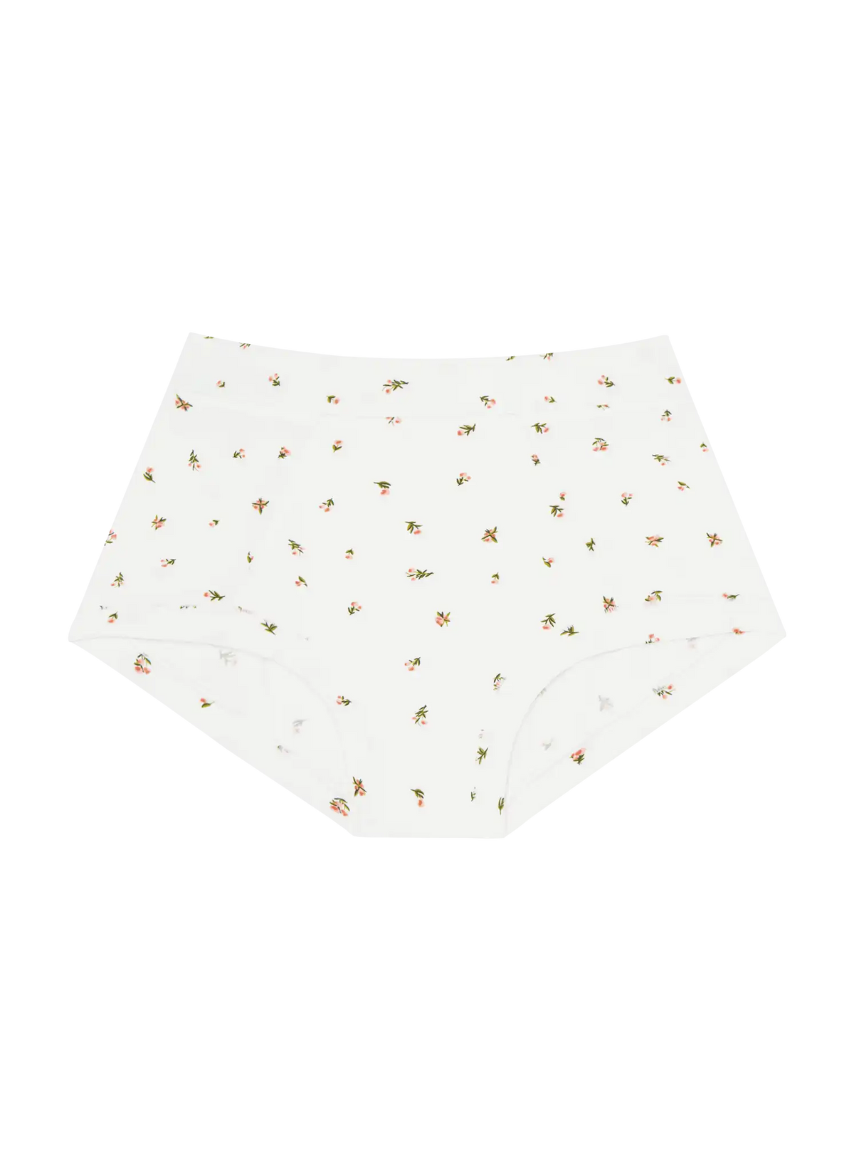 Brief