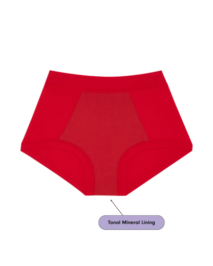 Brief