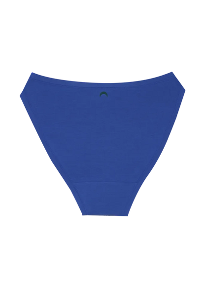 High Rise Bikini